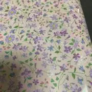 yfrionの画像