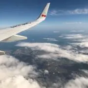 しまの画像