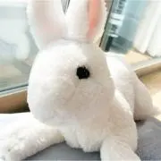 みみの画像