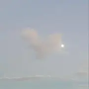 はなの画像