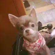 麻衣の画像