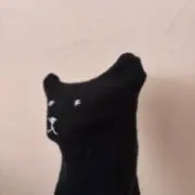カシオの画像