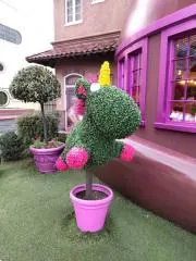 senshunの画像