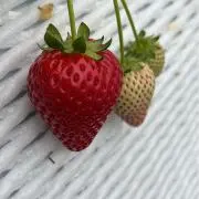 R #の画像