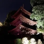 masa0906