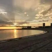 nutsの画像