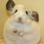 ららの画像
