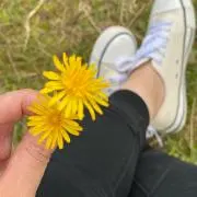 みそとんの画像