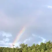 ✨さち ✨●プロフお得情報あり●の画像