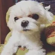 ここの画像