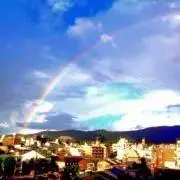 みゆあshop☺︎フォロー割あり☆の画像