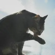 APT. *プロフ必読の画像