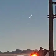 おくらの画像
