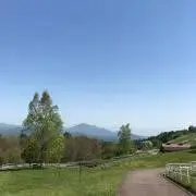 ユウ
