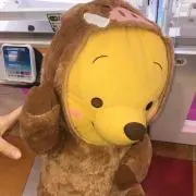 プー