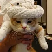 小鉄