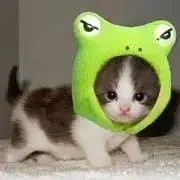 nonの画像