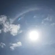 鹿母。