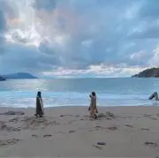 sortの画像