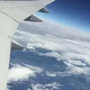 ひろんちゃんの画像