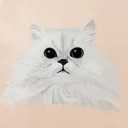 ハチワレの画像