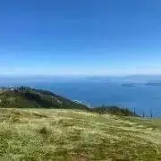 ふーみの画像