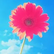 みぃ