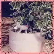 m r♡の画像