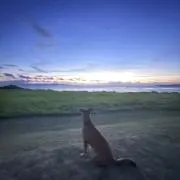 リリ.プロフ必須❁の画像