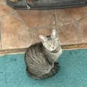 みのみのむの画像