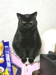 まっちゃん