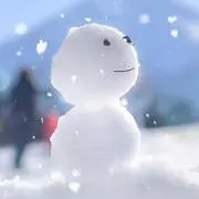 ゆきんこの画像