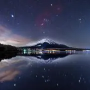トラボルタ