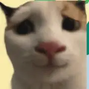 ヌの画像