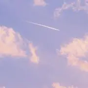 あぼかどの画像