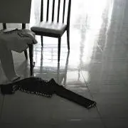 たぬきちの画像