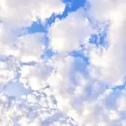 みゅんの画像