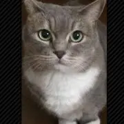 まぐたむ♪♪