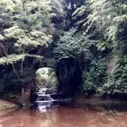 サリーの画像