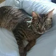 くなぎさの画像