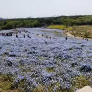 fumiの画像