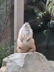 あずみるの画像