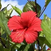 taka-Mの画像