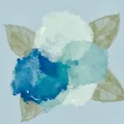 tsuckertomi