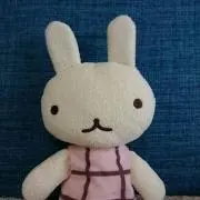 うさこの画像