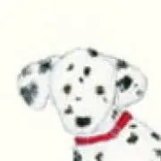 ノノピの画像
