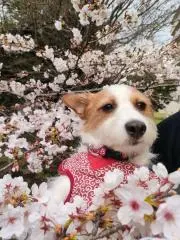 酒井孝明の画像