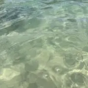 おっとっとの画像