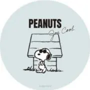 PEANUTSの画像