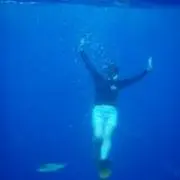 ももぞう